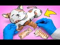 How To Make Paper Kitties and Rescue Mommy Cat || FUN CRAFT