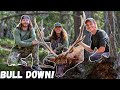 BULL DOWN! COLORADO PUBLIC LAND ELK HUNTING! (OTC TAG)