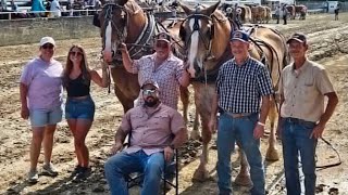 Heavyweight Horse Pull at the Allegany County Fair 2026