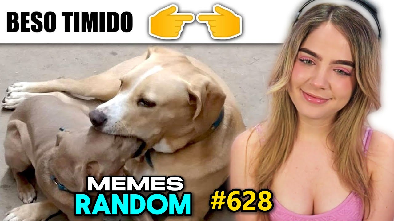 MEMES OPRESORES ∣ Staryuuki REACCIONA a MEMES RANDOM #628