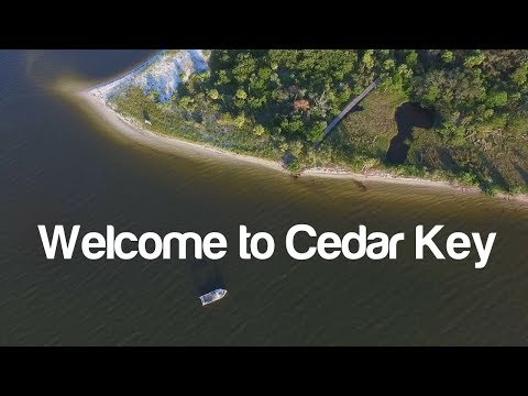 Wideo: Cedar Key, Floryda Miesięczne temperatury i opady deszczu