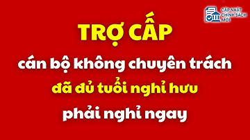 Trợ cấp cán bộ không chuyên trách đã đủ tuổi nghỉ hưu phải nghỉ ngay | cán bộ không chuyên trách