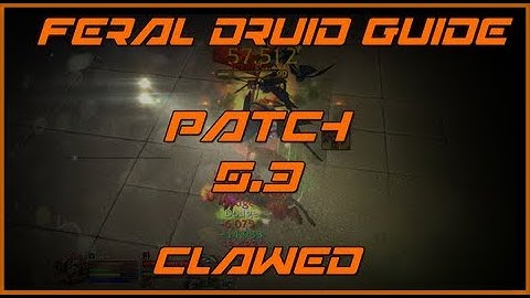 5.3 Feral Druid Guide | Macros | Addons | Talents