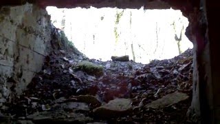 Colonel Driant's Command Post 1916-2016