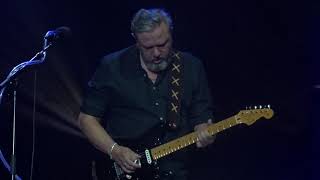 Pink Project - Comfortably Numb solo (Live in Ahoy)