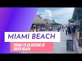 THINGS TO DO OUT SIDE OF SOUTH BEACH WHEN VISITING MIAMI.