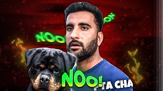 Wahab Bhai Ko Pta Chal Gya Rottweiler Dog Ka Shehr Mein Dehat