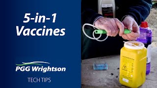 5 in 1 Vaccines | PGG Wrightson Tech Tips