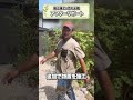 【理想の姿】2ヶ月前に施工したお庭のその後!さらに良くなった景色をお楽しみください!