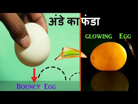 क्या होता है यदि आप सिरका में एक अंडा डालते हैं? || bouncy and glowing egg || science experiment