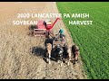 Lancaster County PA Amish Farm Soybean Harvest McCormick Model 80