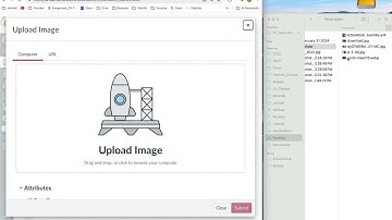How to Embed Images into Discussion on Canvas