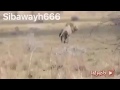 اسد يرى ملك الموت