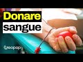 Come Funziona la Donazione del Sangue: Chiariamo Tutti i Dubbi