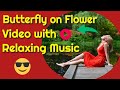 Butterfly on Flower Video with Relaxing Music - Soothing Relaxation