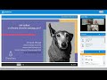 Webinar: Jak zadbać o stawy u psa? Dr Jacek Wilczak | Game Dog x Pethelp