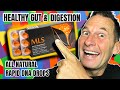 Apl go product review  mls  health gut  digestion