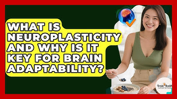What Is Neuroplasticity And Why Is It Key For Brain Adaptability? - Brain Health Support Network