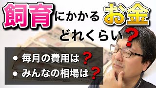 犬を飼うと毎月どれくらいの費用がかかるの?