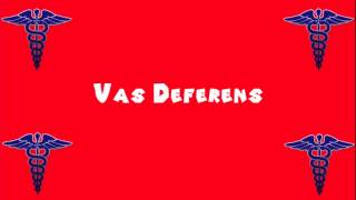 Pronounce Medical Words ― Vas Deferens