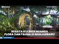 Wisata Kalsel- Menikmati Kuliner Dengan Nuansa Flora Dan Fauna Di Banjarbaru, Bak Berada di Hutan