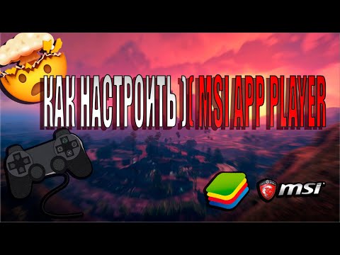 Настройка MSI app player / стандофф 2