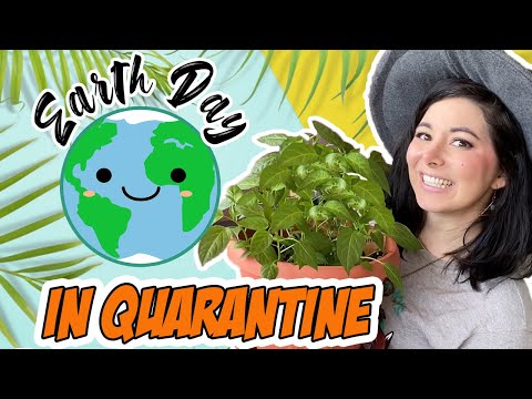 Como comemorar o DIA DA TERRA em quarentena!