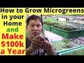 How to Grow Microgreens in Your Home & Make $100,000   a Year