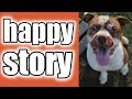 Titan The Rescue Dogs Heroic Story