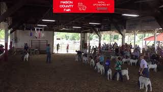 Mason County Fair 2022 Goat Show