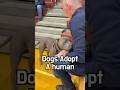 Every tail wag here means hope #animal #dog #adoption