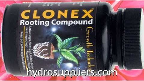 Clonex for Hydroponic Cloning Success -- Maximize Production
