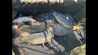 картинка: Наловили повний мат риби та гарно відпочили. Настіне озеро