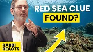 The SHOCKING proof the Exodus is true I Rabbi Rowe Reacts Net Worth