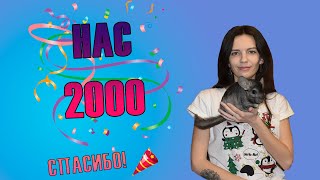 2000 подписчиков! Спасибо всем