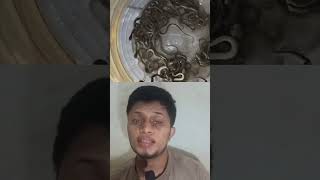 Pani ki Tanki se nikale snake. #snake #video #watertank #india #fact