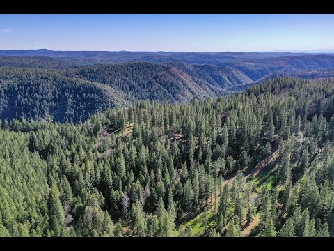23 Wild Rose Meadow Ln, North San Juan, CA home video tour