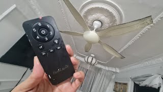 [4K] ECOLUXE 503-M 56\