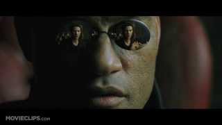 Blue Pill Or Red Pill - The Matrix