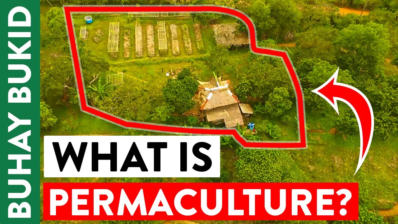 Permaculture: This Natural Farm's 
