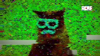 SGLITCHA CAT (I got BCC 12.5)