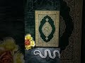Islamic TikTok video #islamicstatus #beautiful #tiktok #shorts #viral