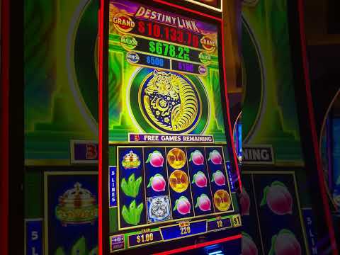 MONOPOLY LIVE review: Ultimate Online Live Casino Game Shows