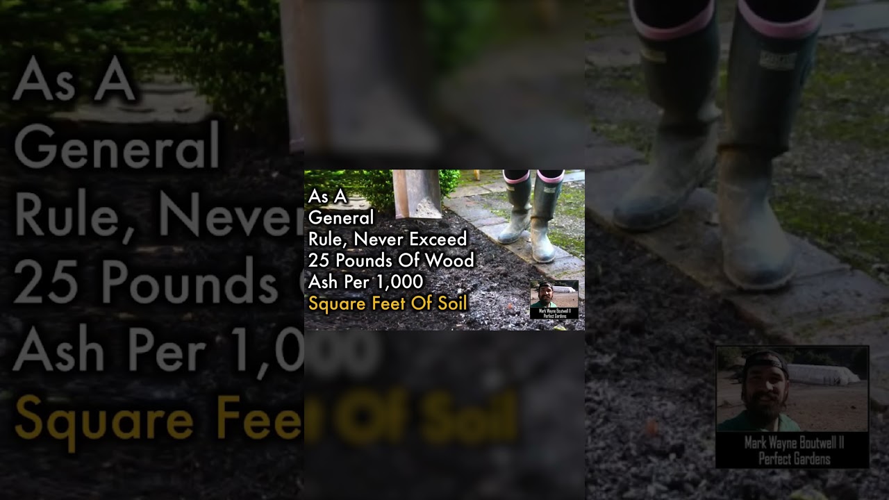 Use This as Lime Substitute in Your Garden!