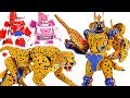 Transformers Beast Wars Cheetor! Transformed into cheetah! #DuDuPopTOY