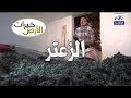 البرنامج الوثائقي خيرات الارض زراعة وانتاج الزعتر