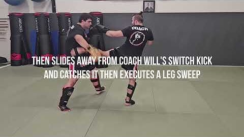 Parry Jab & Cross - Catch Switch-Kick - Leg Sweep