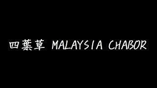 四葉草 MALAYSIA CHABOR歌詞