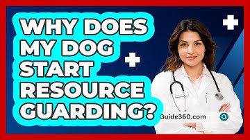 Why Does My Dog Start Resource Guarding? - PetGuide360.com