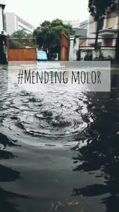 Story wa MENDING MOLOR (sunda).
